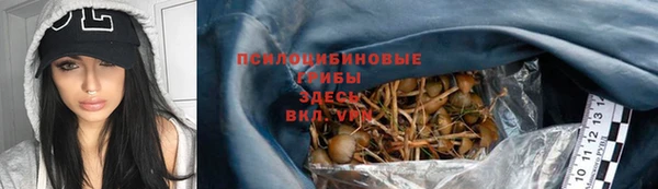 спиды Абдулино